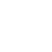 Pet Planet - Pet Supplies Store